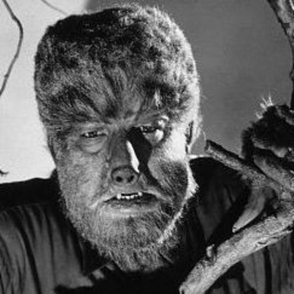 Meet your Posher, Michael - Picture 1 of 1